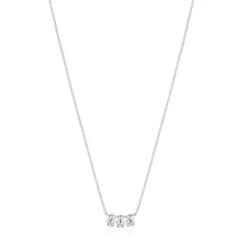 Bold Bear silver Choker with charm