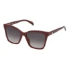 Burgundy-colored bear Sunglasses Square Bear
