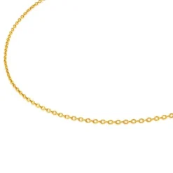 Gold Choker measuring 45 cm TOUS Chain