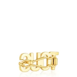 Gold colored IPG steel Clip Logo