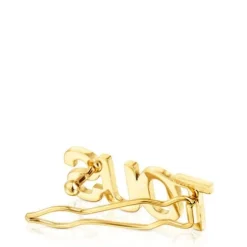Gold colored IPG steel Clip Logo