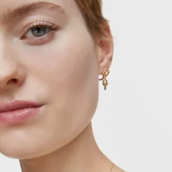 Gold Hoop earrings TOUS MANIFESTO