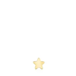 Gold TOUS Piercing Ear piercing with star