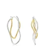 Hav bicolor ellipse Earrings