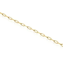 Hold Oval chain Bracelet with 18kt gold plating over silver
