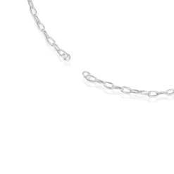 Hold Oval silver short Necklace