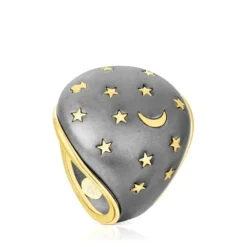 Silver vermeil and dark silver Twiling Domed ring