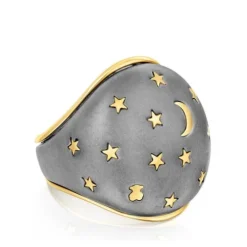 Silver vermeil and dark silver Twiling Domed ring