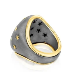 Silver vermeil and dark silver Twiling Domed ring