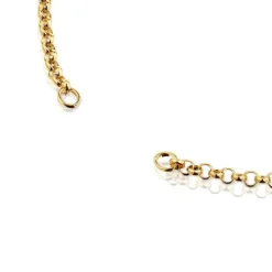 Vermeil TOUS Hold Choker 42cm.