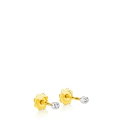 White Gold TOUS Diamonds Earrings. 0,02ct.