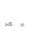White Gold TOUS Les Classiques Earrings with Diamonds. 0,31ct.